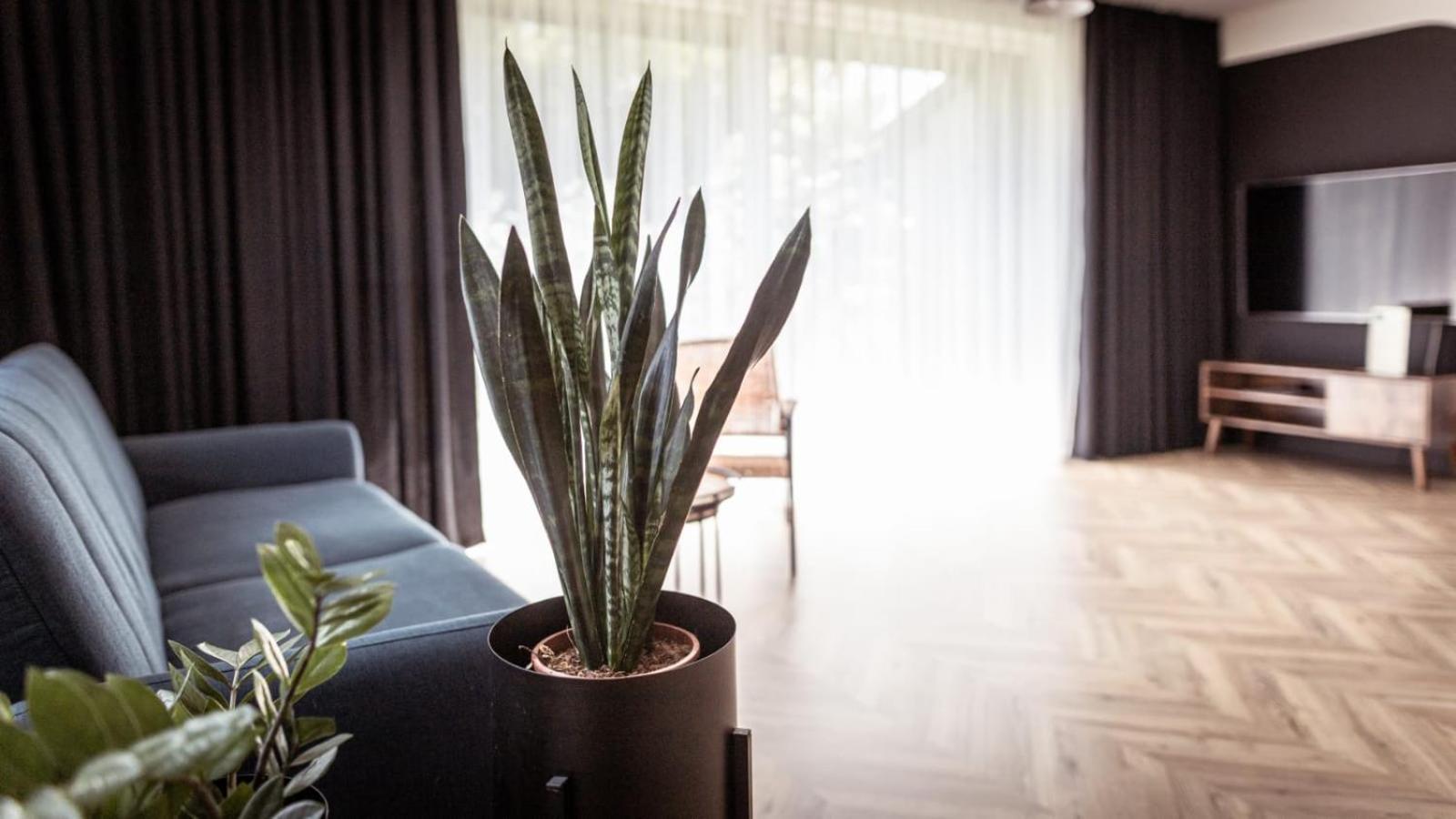 Apartments Abcd เบียวา พอดลาสกา ภายนอก รูปภาพ