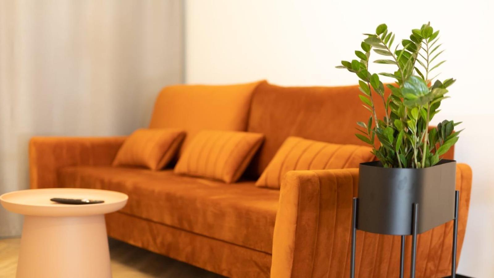 Apartments Abcd เบียวา พอดลาสกา ภายนอก รูปภาพ